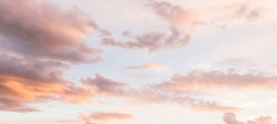Photo by Davies Designs Studio on Unsplash